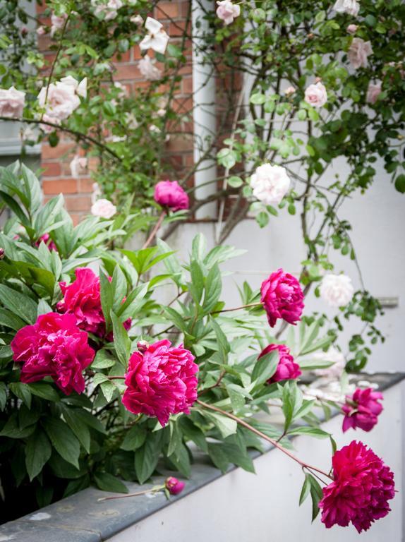 B&B Moensberg Linkebeek 외부 사진